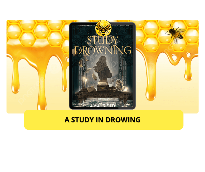 A Study in Drawing- Ava Reid