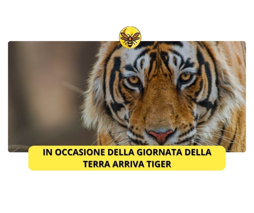 In occasione della Giornata della Terra arriva Tiger