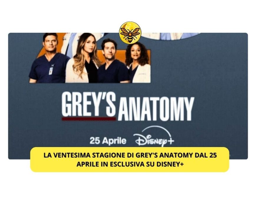 La ventesima stagione di Grey’s Anatomy dal 25 Aprile in esclusiva su Disney+