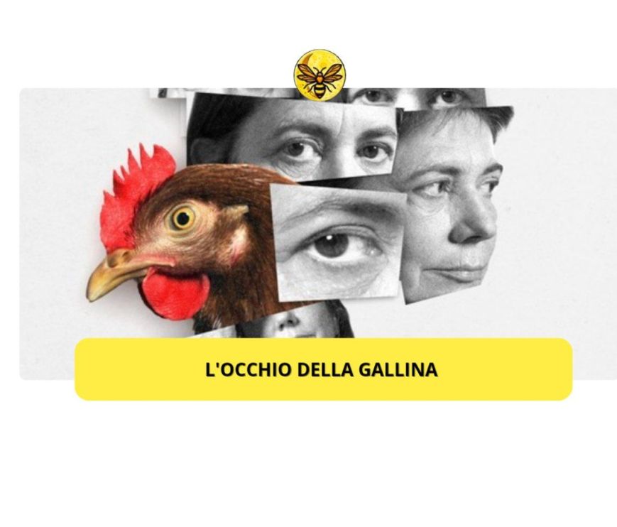 L’occhio della Gallina di Antonietta De Lillo