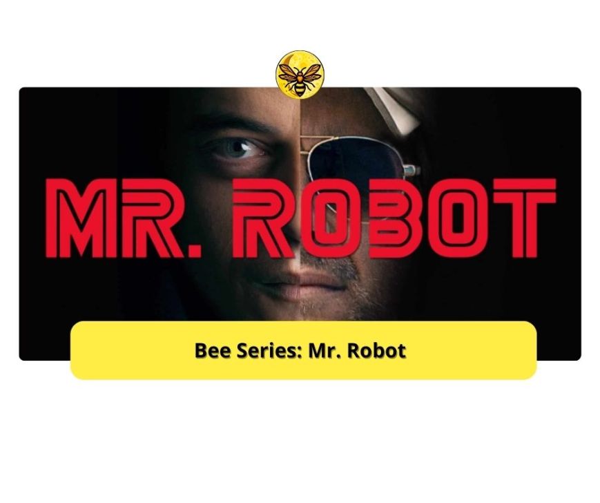 Bee Series: Mr Robot