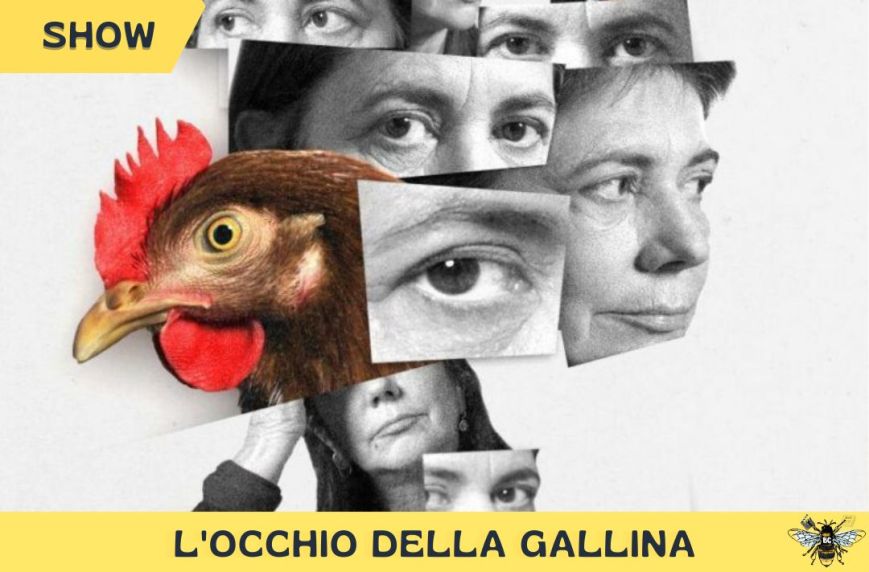 L’occhio della gallina: la recensione