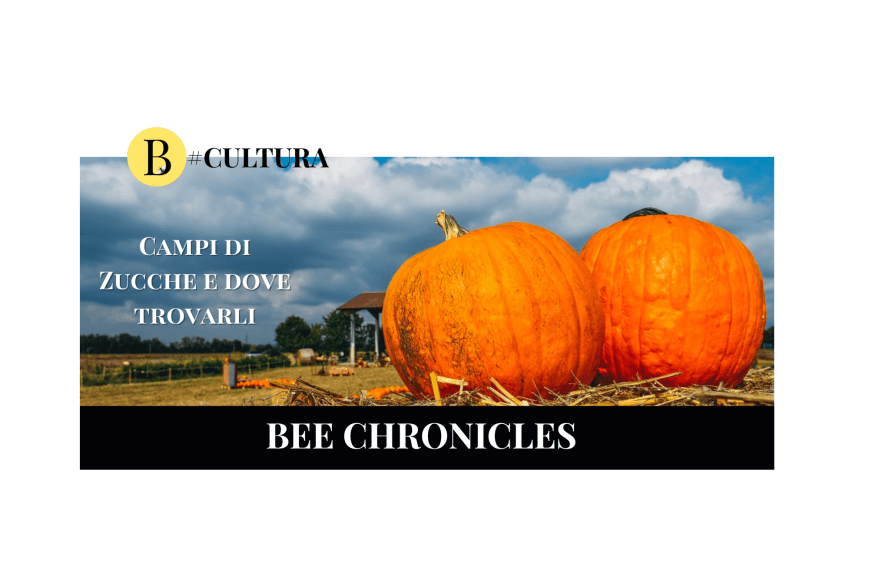 Campi di Zucche e dove trovarli