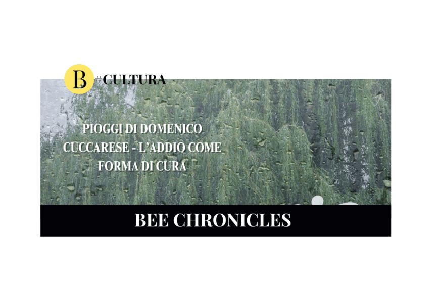Pioggia di Domenico Cuccarese: l’addio come forma di cura